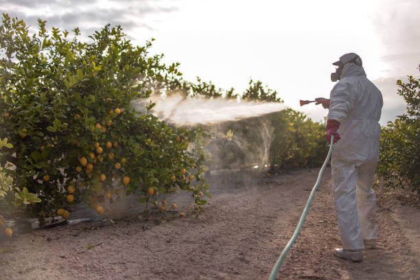 Trusted Rogue River, OR Pest Control Experts